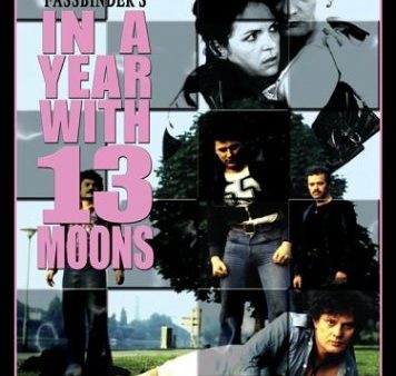 IN A YEAR WITH 13 MOONS For Sale