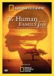 NATIONAL GEOGRAPHIC: THE HUMAN FAMILY TREE Online Hot Sale