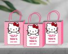 Hello Kitty Theme Return Gift Bag For Discount