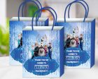 Frozen Theme Return Gift Bag For Sale